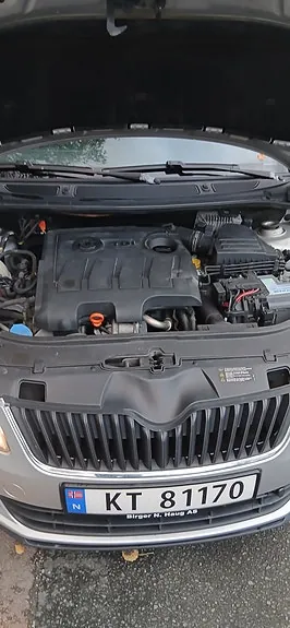 Skoda Roomster 2011 photo 2
