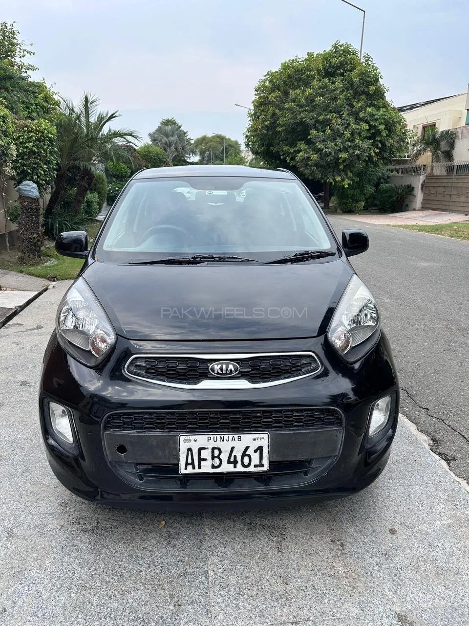 Kia Picanto