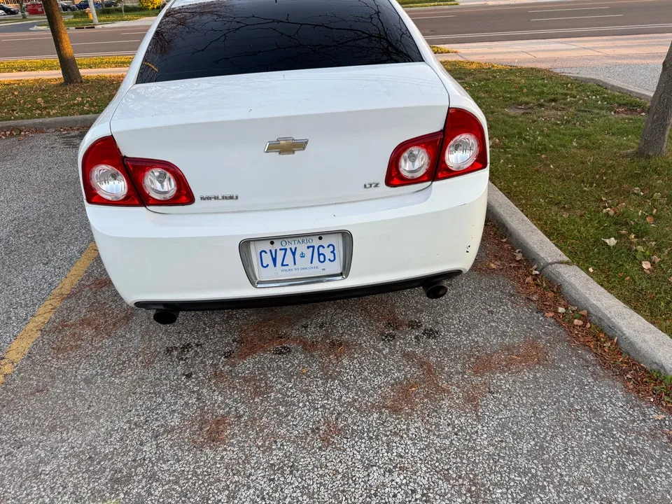 Chevrolet Malibu 2009 photo 4