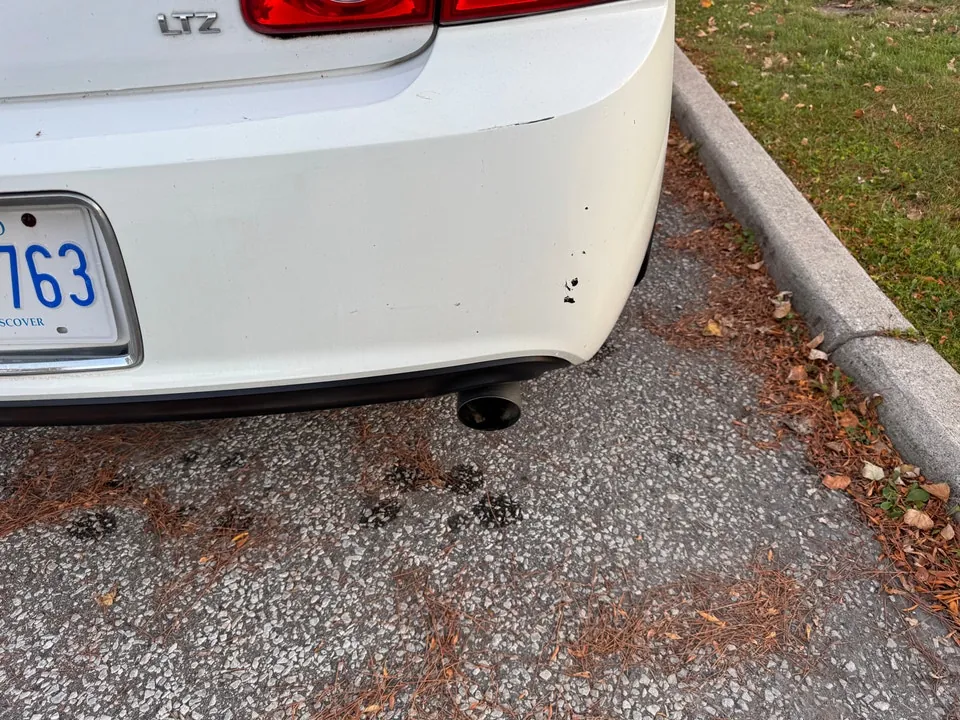 Chevrolet Malibu 2009 photo 5