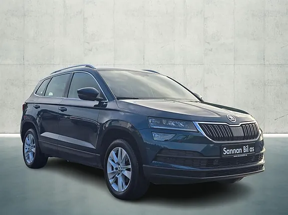 Skoda Karoq 2020 photo 3
