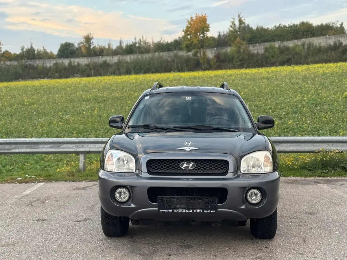 Hyundai Santa Fe 2004 photo 2