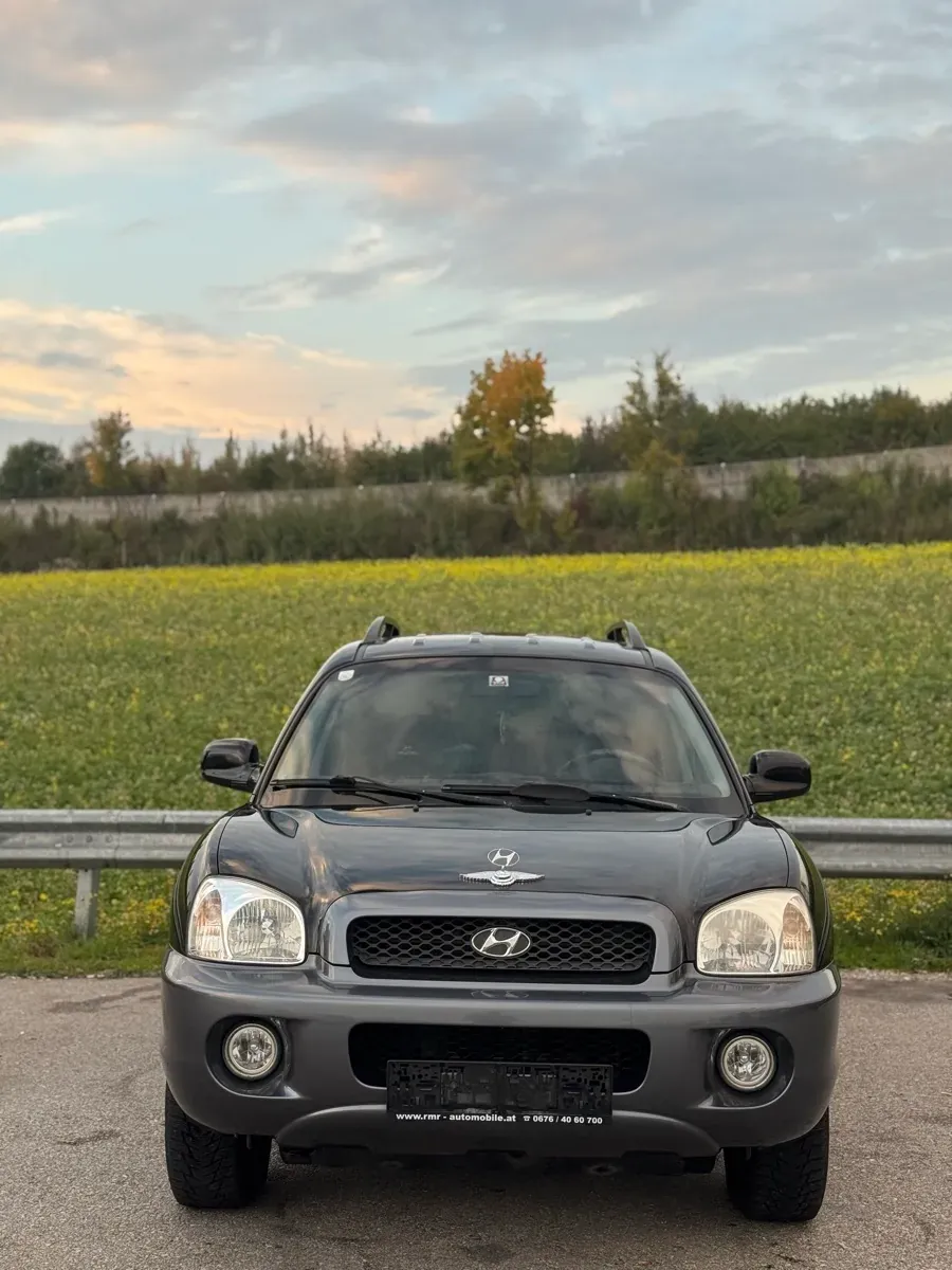 Hyundai Santa Fe 2004 photo 3