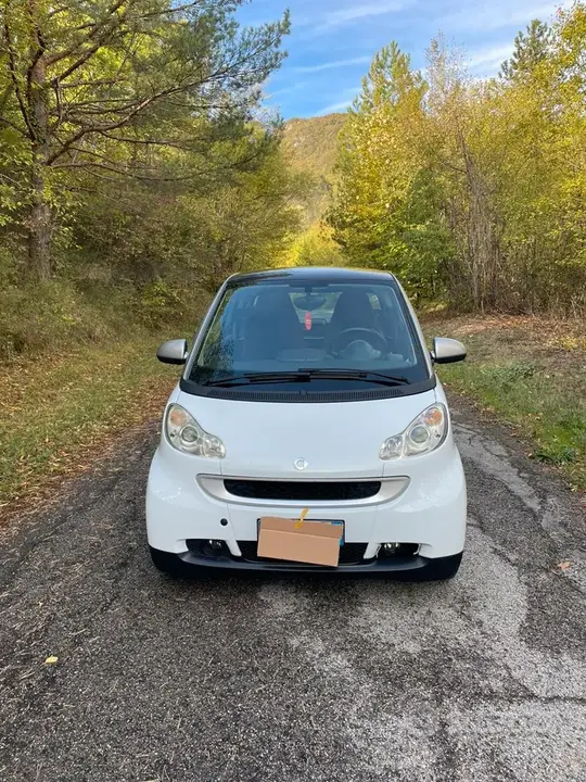 Smart Fortwo 2009 photo 4