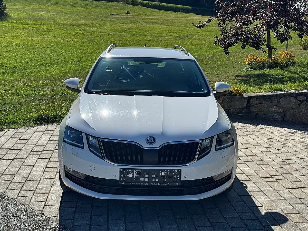 Skoda Octavia 2019 photo 2