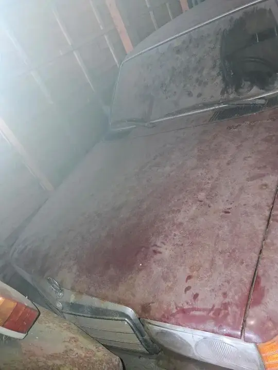 Mercedes-Benz W123