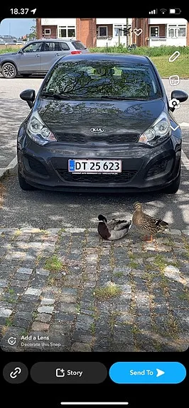 Kia Rio 2013 photo 4