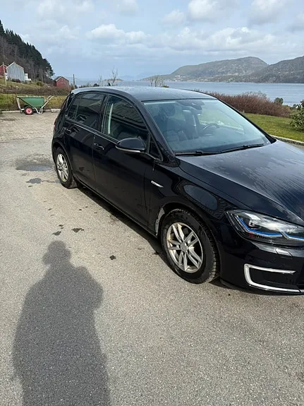 Volkswagen E-Golf Vii 2019 photo 4