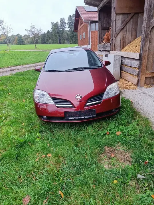 Nissan Primera