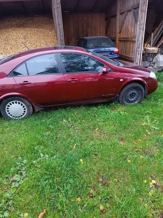Nissan Primera 2002 photo 2