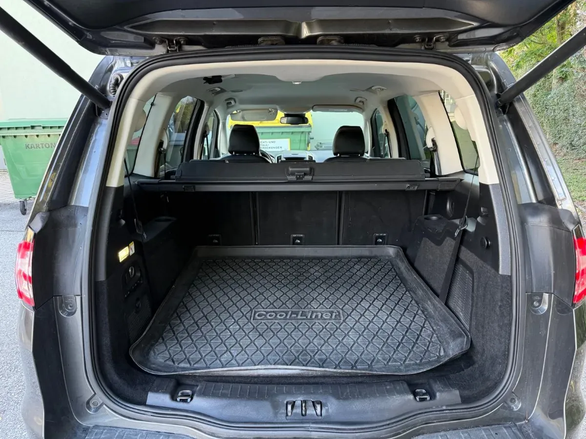 Ford Galaxy 2019 photo 3
