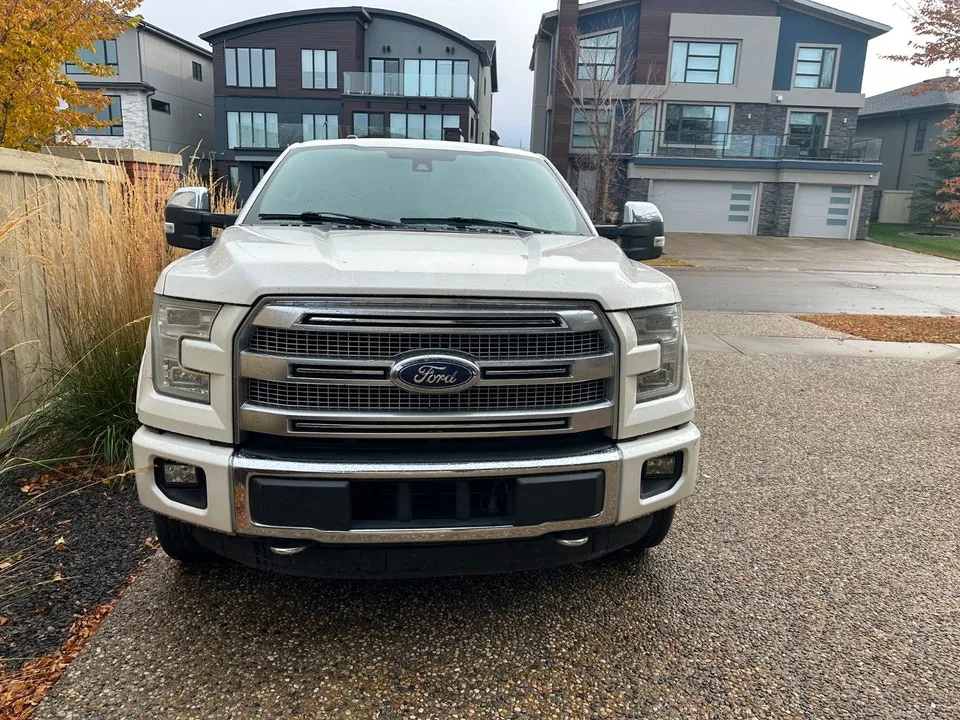 Ford F-150 2015 photo 2