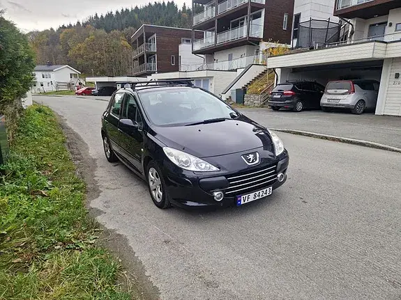 Peugeot 307 2007 photo 3