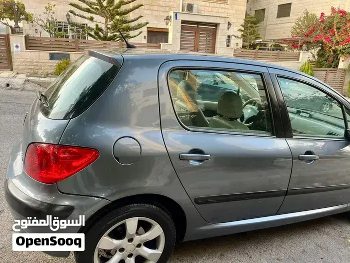 Peugeot 307 2006 photo 3