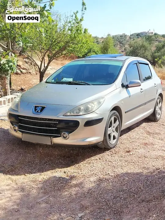 Peugeot 307 2006 photo 5