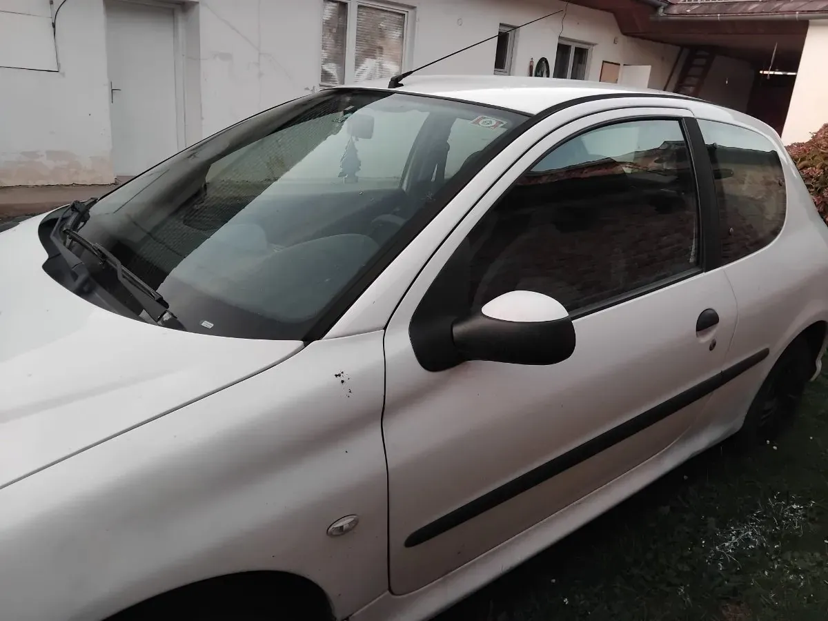 Peugeot 206 2007 photo 2