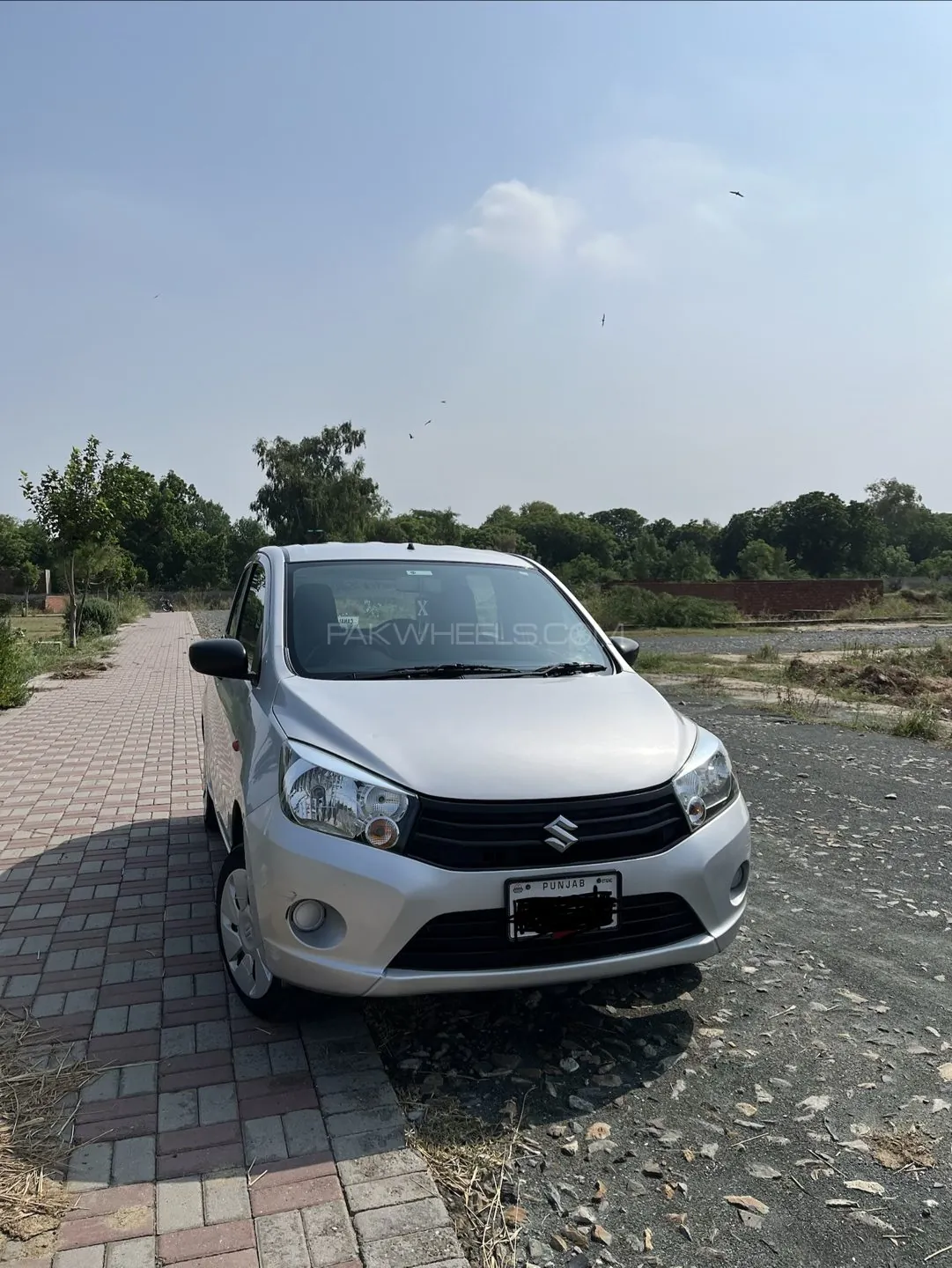 Suzuki Cultus