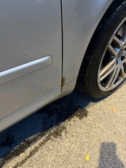 Audi A4 2008 photo 5