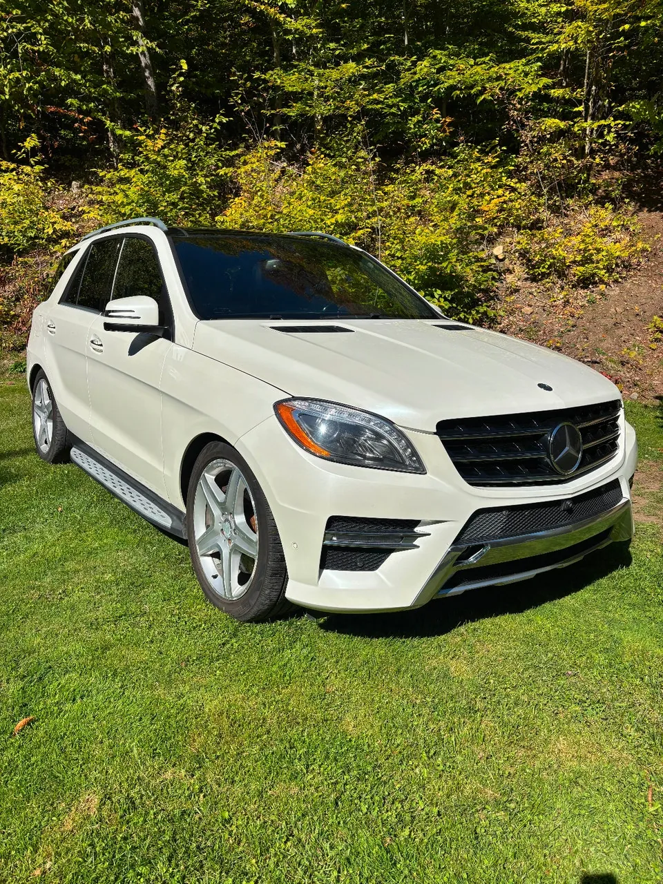 Mercedes-Benz Ml Class 2015 photo 3