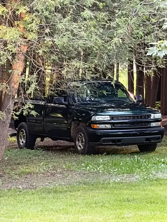 Chevrolet Silverado 1500 2002 photo 4