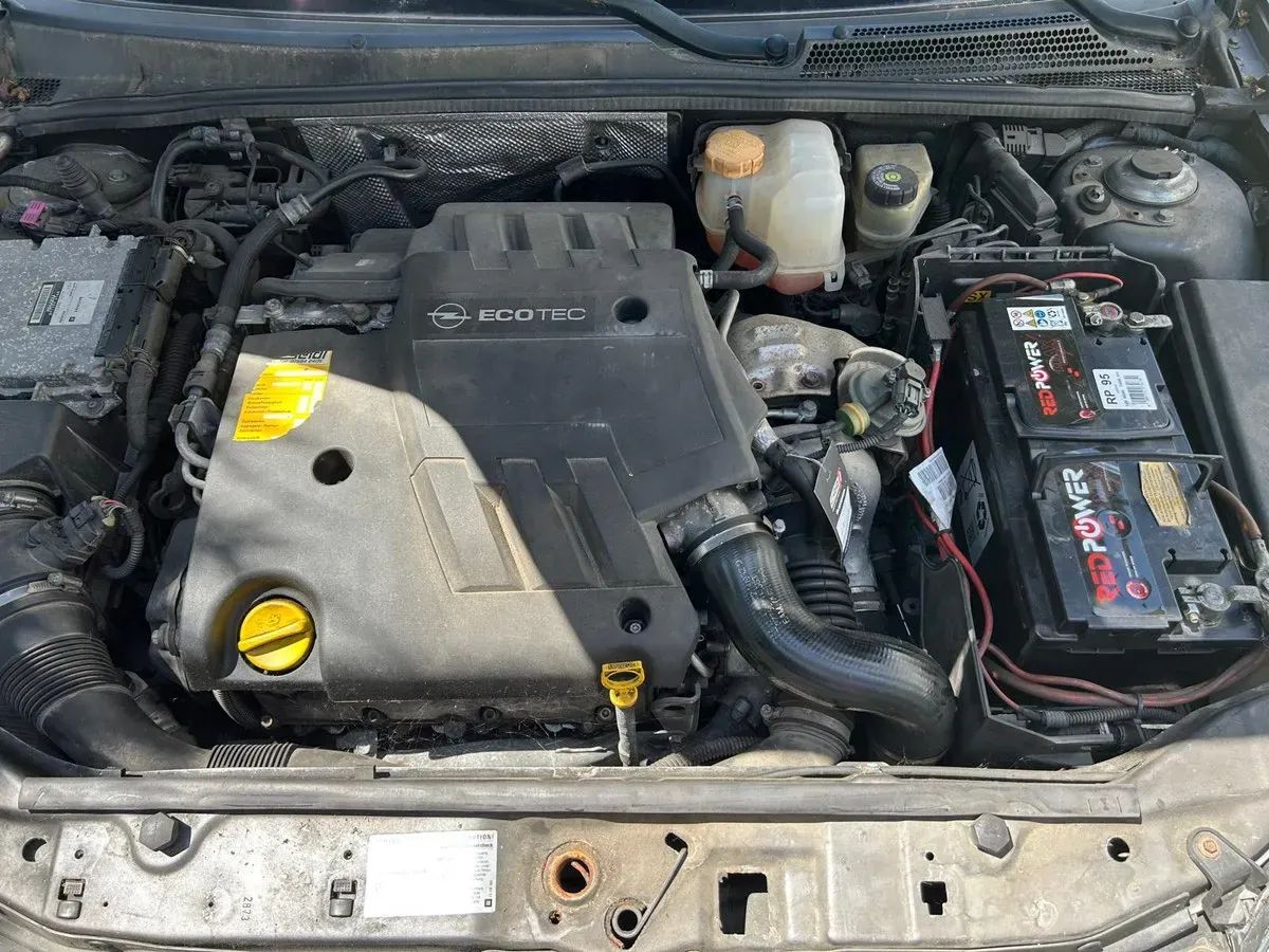 Opel Signum 2002 photo 2