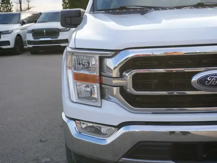Ford F-150 2021 photo 4