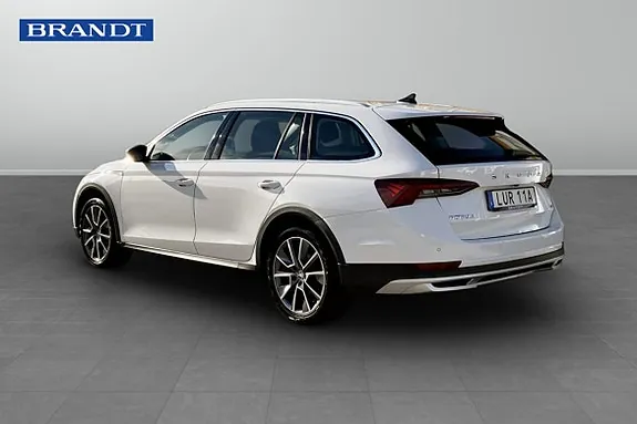Skoda Octavia 2023 photo 2