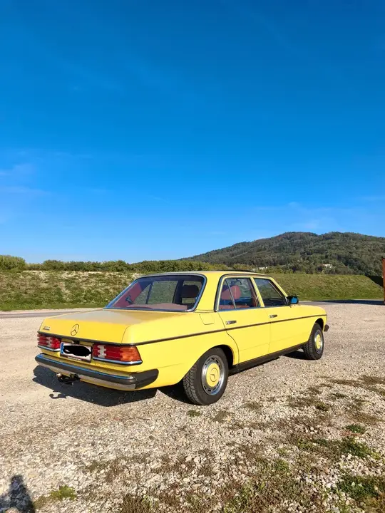 Mercedes-Benz W123 1980 photo 3