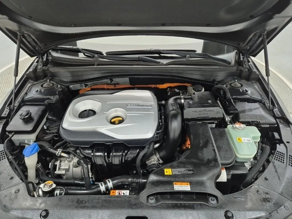 Kia K5 2019 photo 5