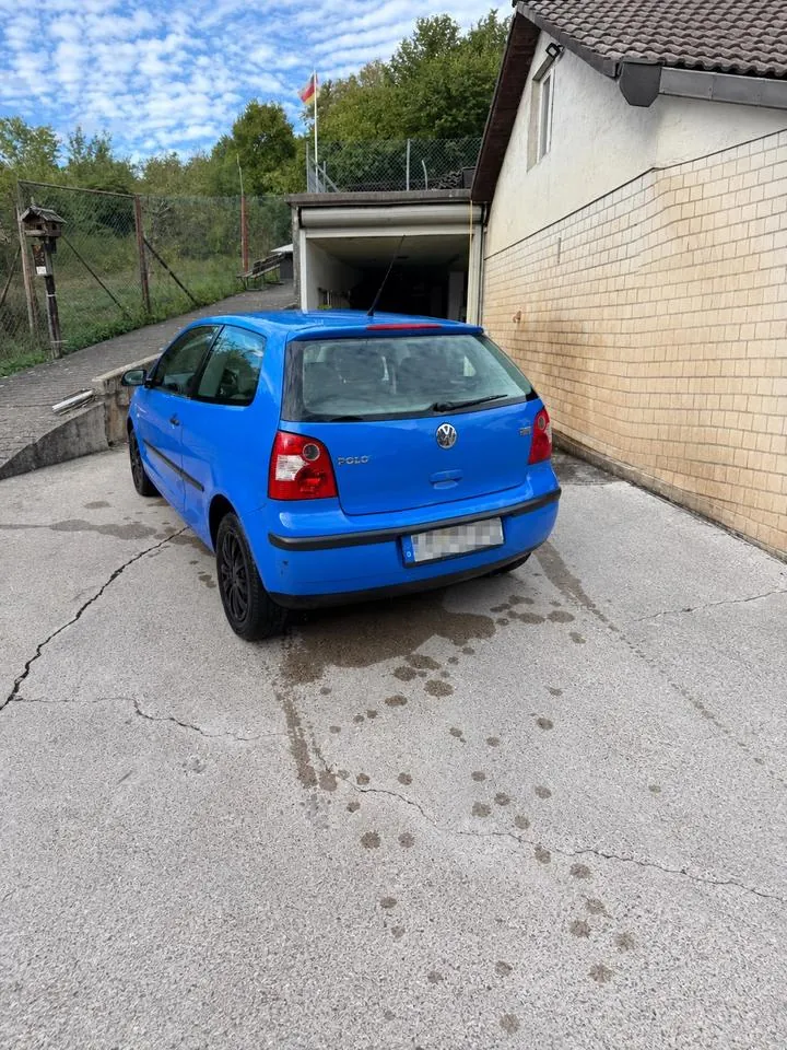 Volkswagen Polo 9N
