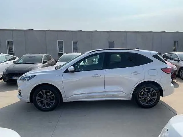 Ford Kuga 2020 photo 4