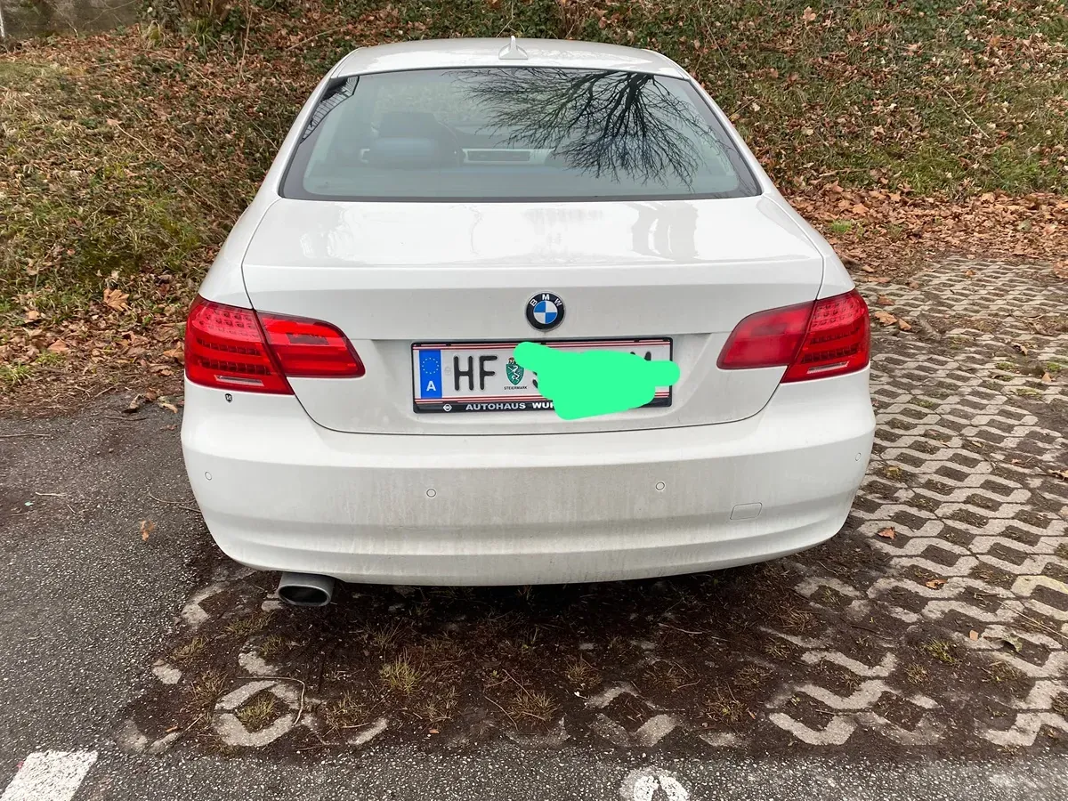 BMW 3 Series 2010 photo 2