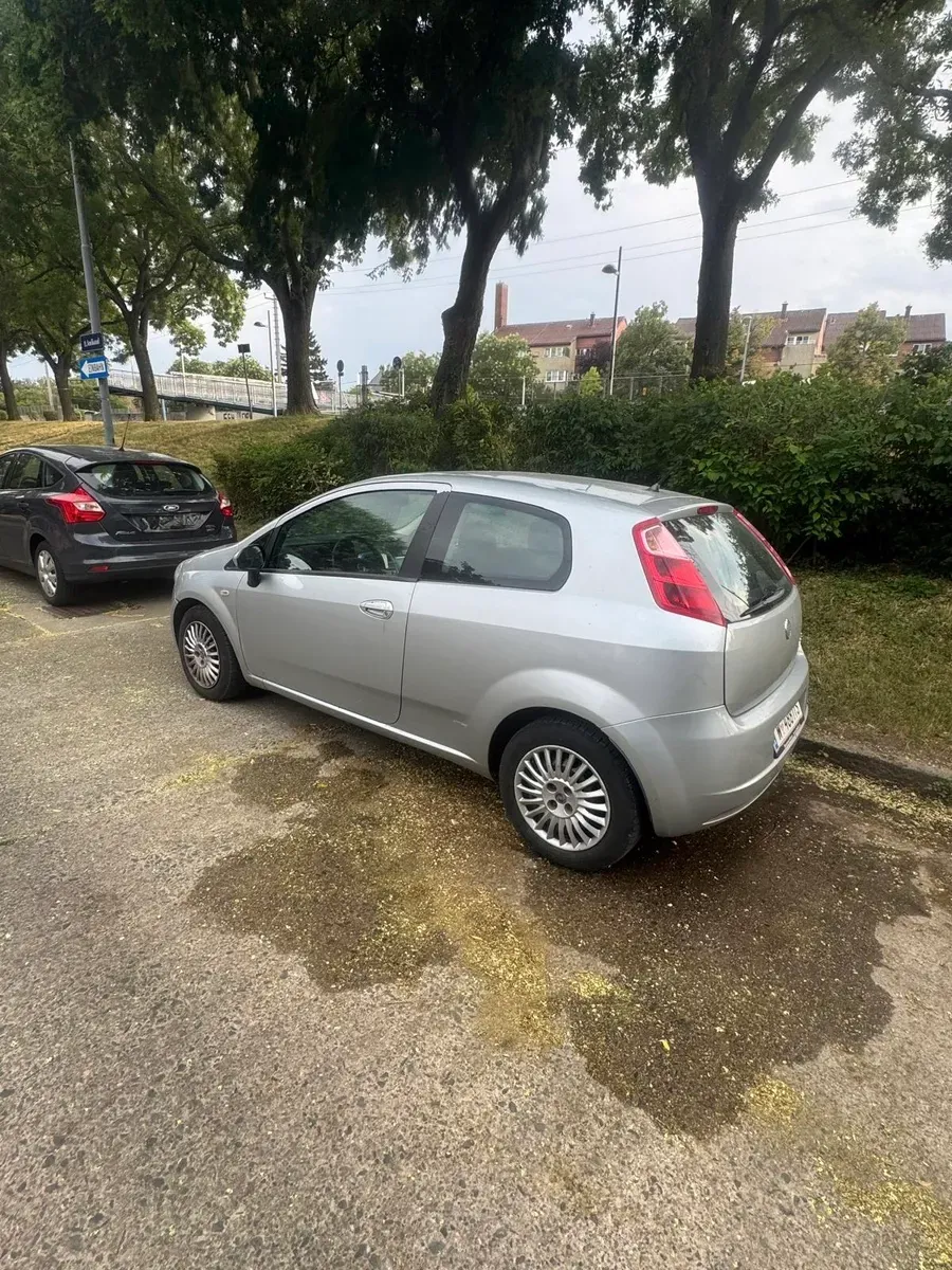 Fiat Punto 2006 photo 3