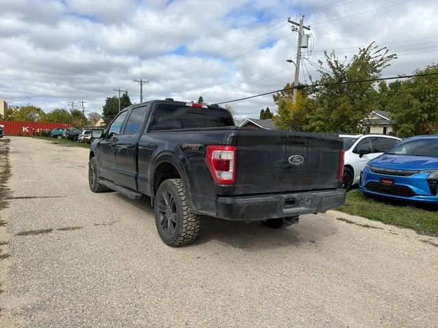 Ford F-150 2022 photo 4