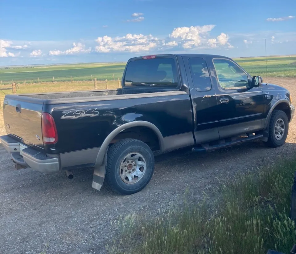 Ford F-150 2003 photo 2