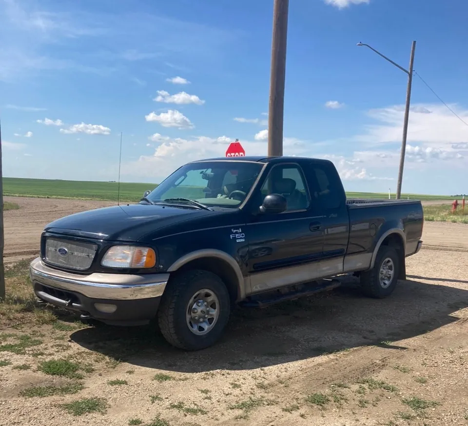 Ford F-150 2003 photo 3