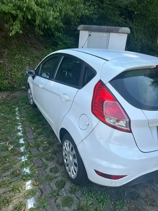 Ford Fiesta 2015 photo 2