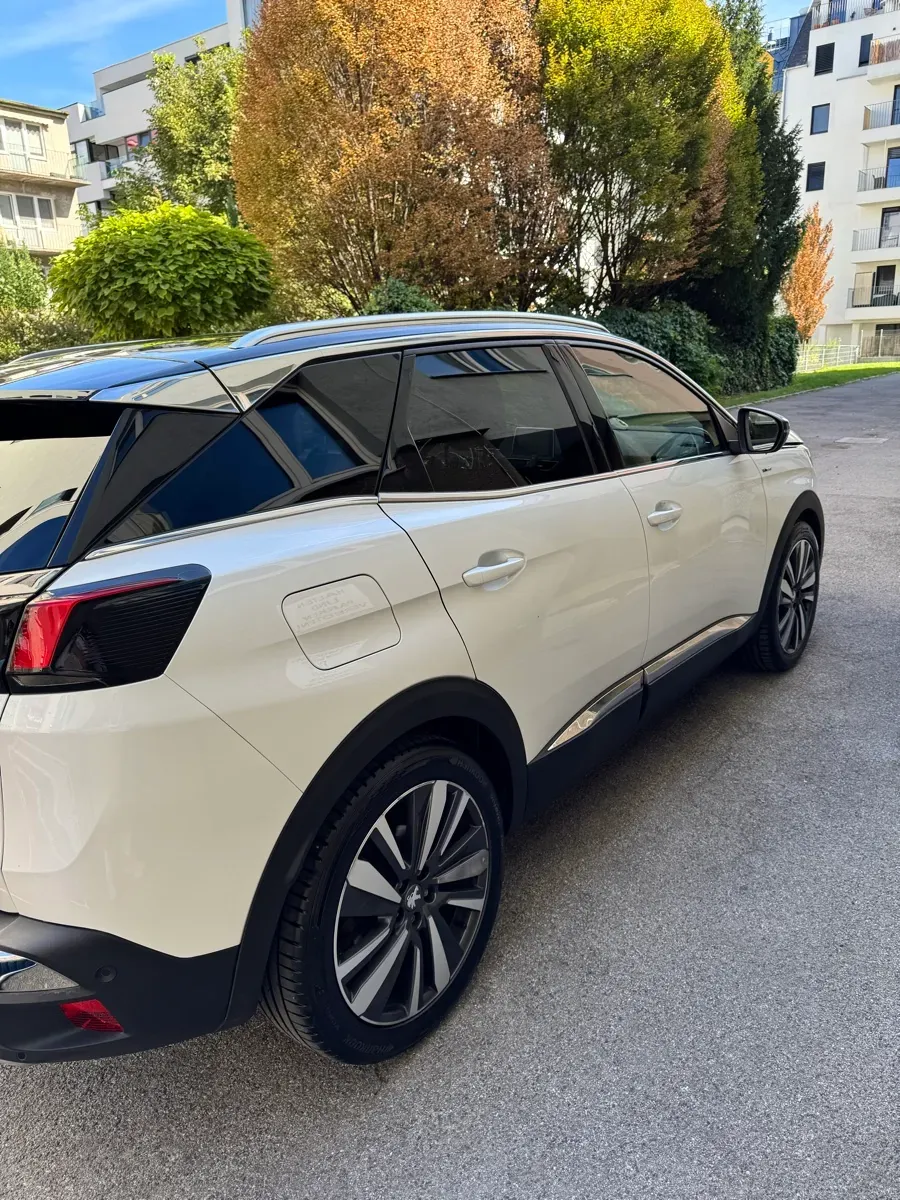 Peugeot 3008 2020 photo 3