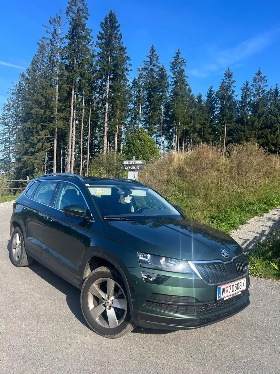 Skoda Karoq 2021 photo 2