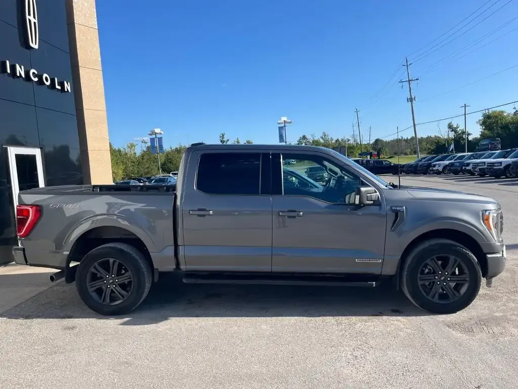 Ford F-150 2023 photo 3