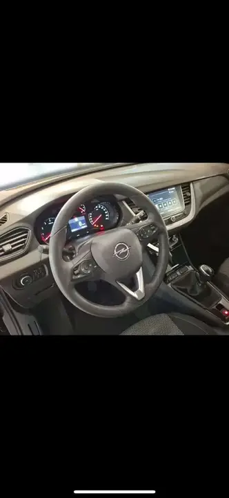 Opel Grandland X 2020 photo 2