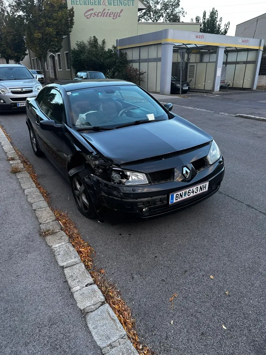 Renault Megane 2004 photo 2