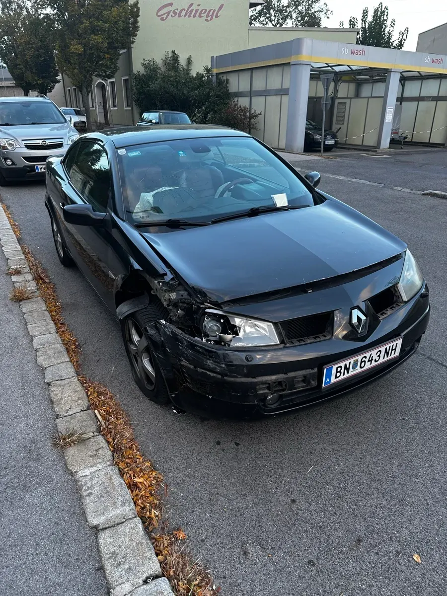 Renault Megane 2004 photo 3