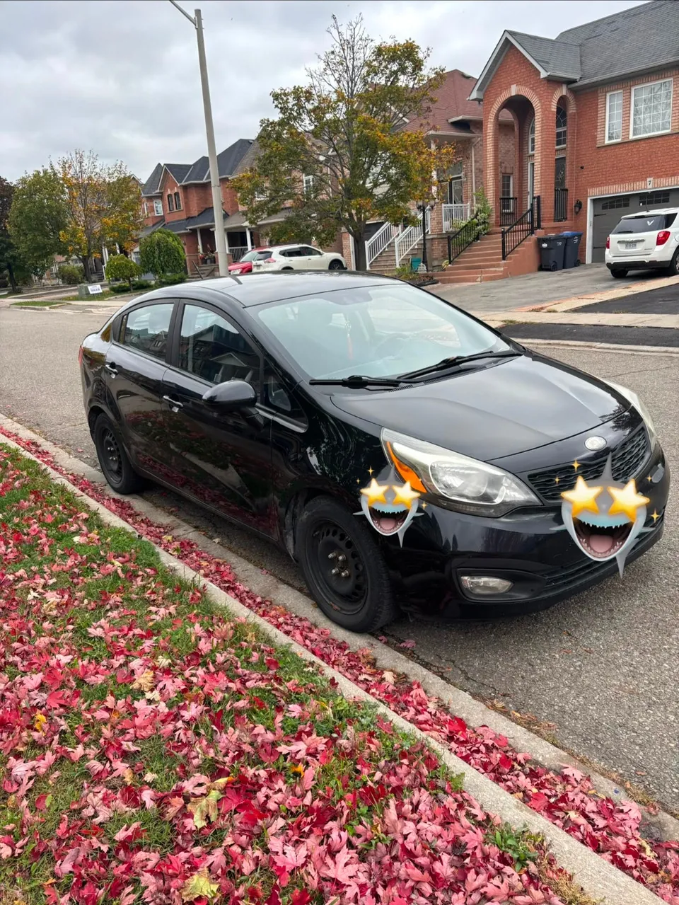 Kia Rio 2013 photo 2