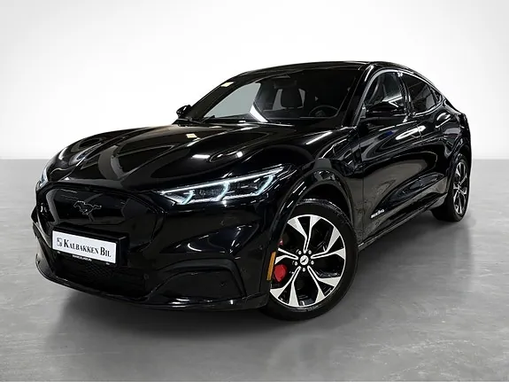 Ford Mustang Mach-E 2021 photo 2
