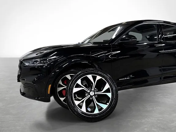 Ford Mustang Mach-E 2021 photo 4