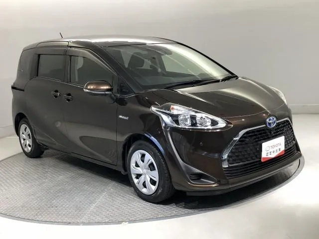 Toyota Sienna 2019 photo 5