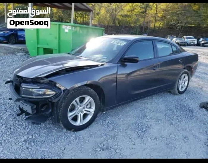 Dodge Charger 2023 photo 4