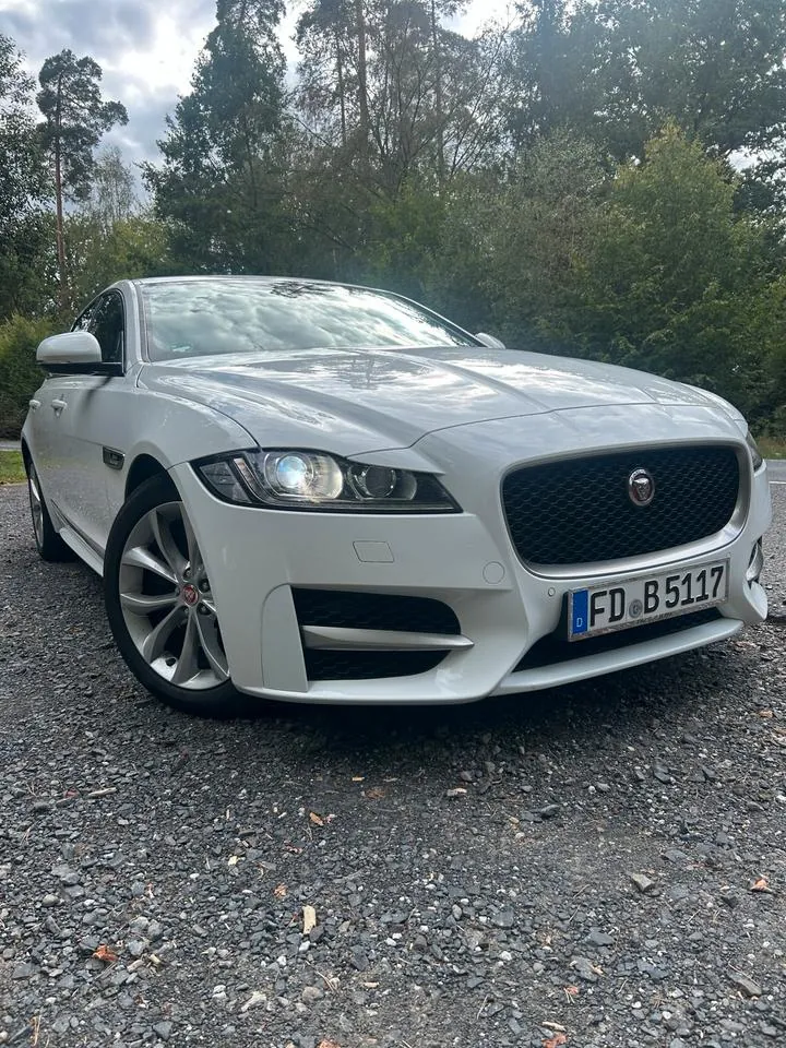Jaguar Xf