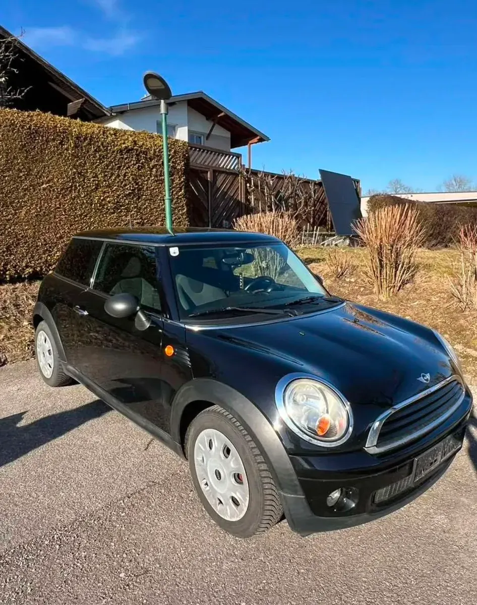 Mini Mini